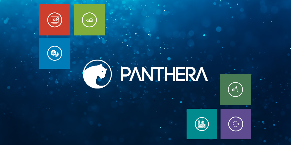 articolo-panthera-digital4-2 Panthera Erp: Cos'è e a Cosa Serve